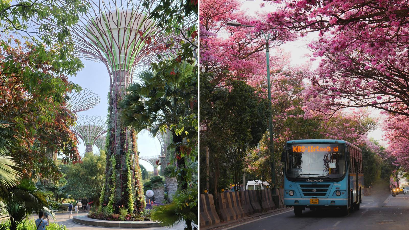 10 Green Cities Leading The Way In Urban Sustainability