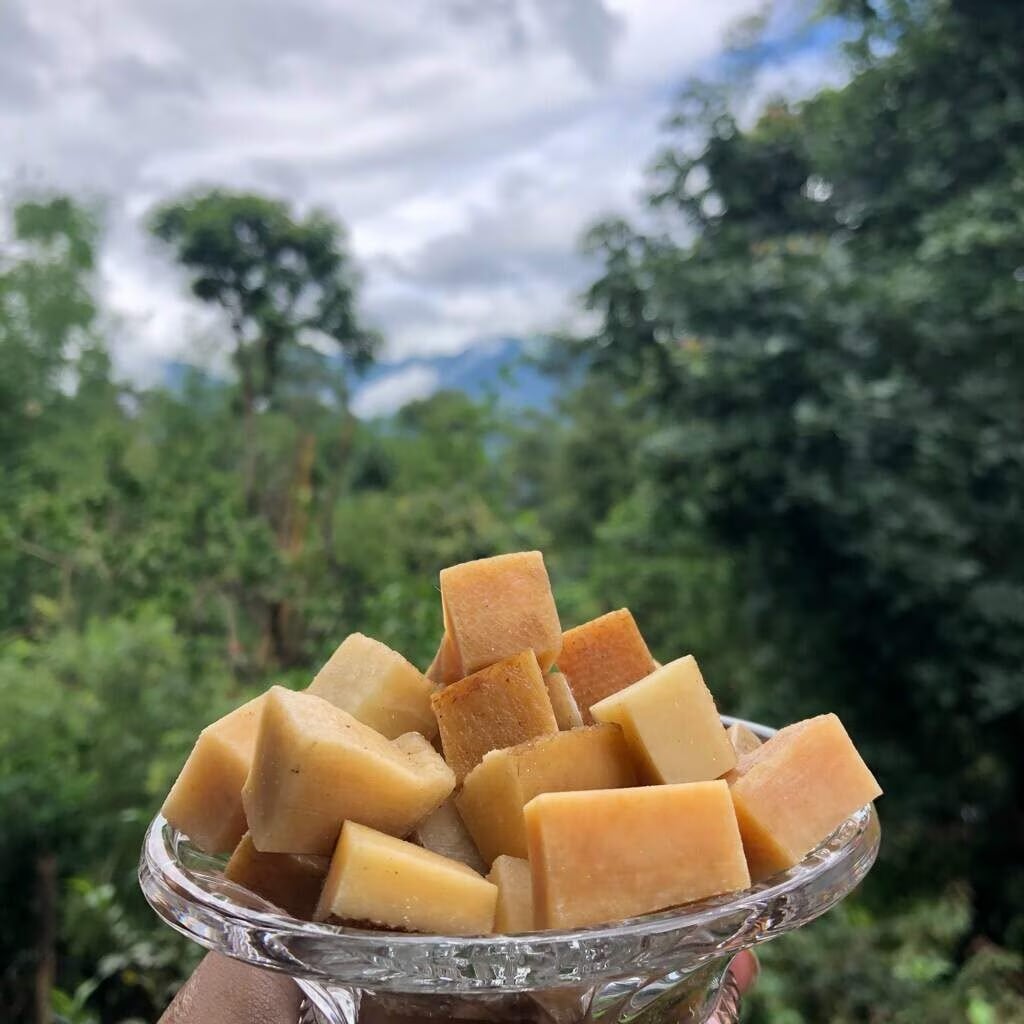 Gold: Yak Churpi-Soft (Nordic Farm, Ladakh): The Gold medal was awarded to Yak Churpi-Soft by Nordic Farm, Ladakh. Originating from the Himalayan region, this cheese is crafted from rare yak milk, a traditional element of Ladakh&rsquo;s dairy heritage. Unlike the region&rsquo;s well-known hard churpi, this soft variant is designed for gourmet tasting, offering a dense yet slightly yielding texture. It delivers a rustic, tangy flavour influenced by high-altitude production conditions. Its standout quality lies in its deep connection to local terroir and the distinctive character imparted by yak milk, setting it apart in the international cheese competition.