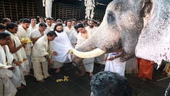 Anant Ambani Commits Rs 18 Crore to Kerala Temples and Elephant Welfare Projects