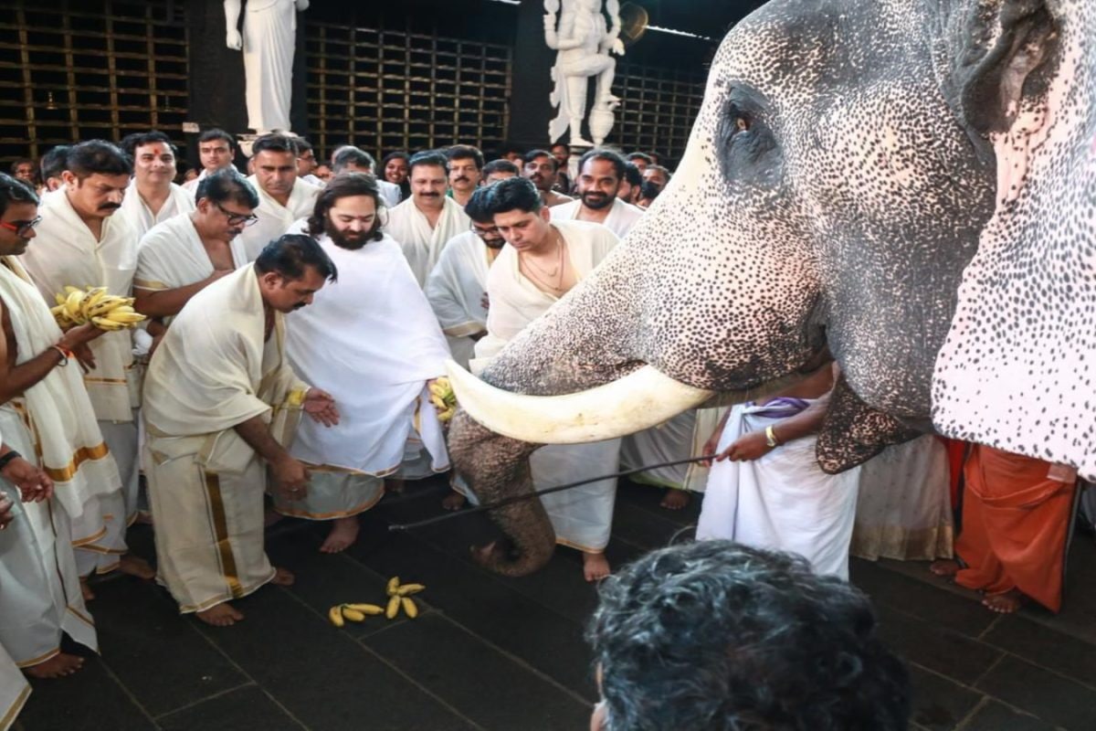 Anant Ambani Pledges Rs 18 Crore For Kerala Temples, Elephant Welfare Initiatives