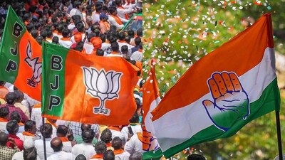 BJP slammed Rahul Gandhi over the INDIA bloc’s protest against the EC.  (Photo: PTI file)