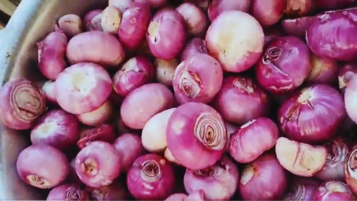 Peeling Tears: Has West Asia Conflict Created An Onion Crisis For India’s Farmers