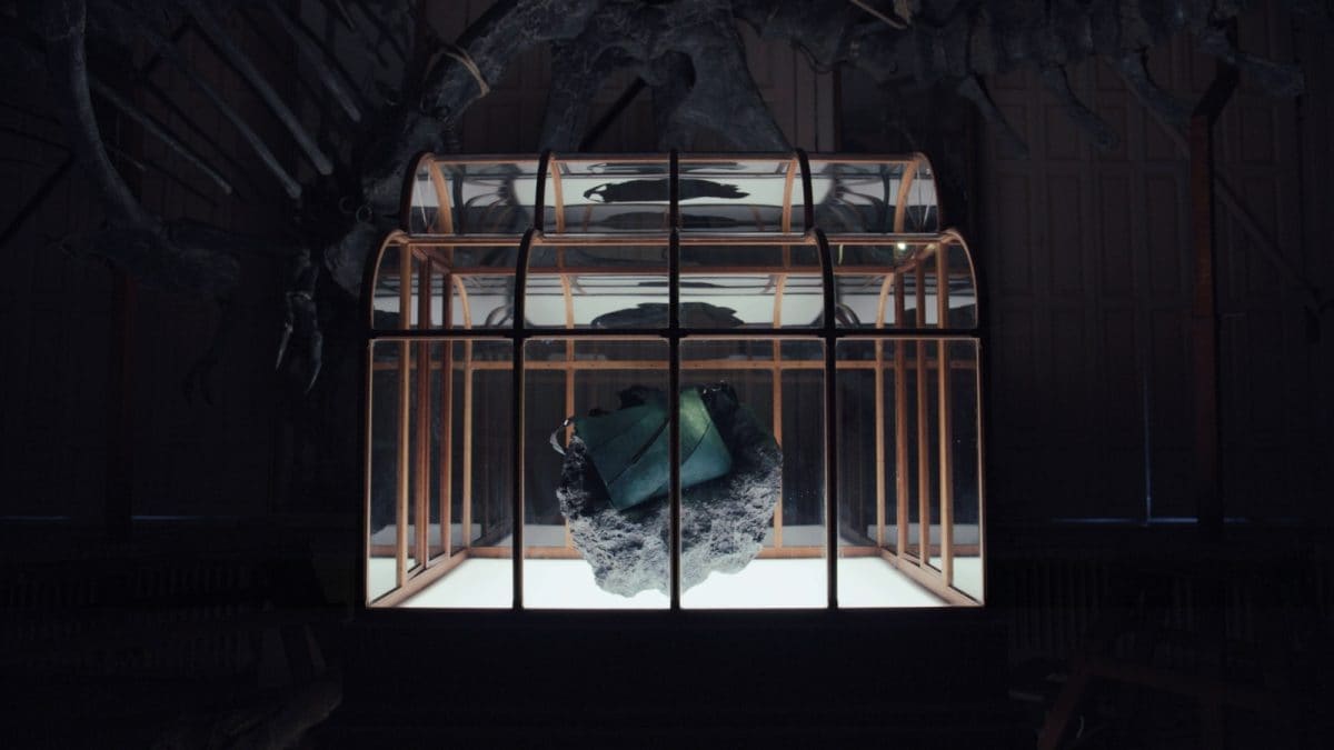 My Encounter with the World's First T‑Rex Leather Handbag – A Curious Blend of Science and Style