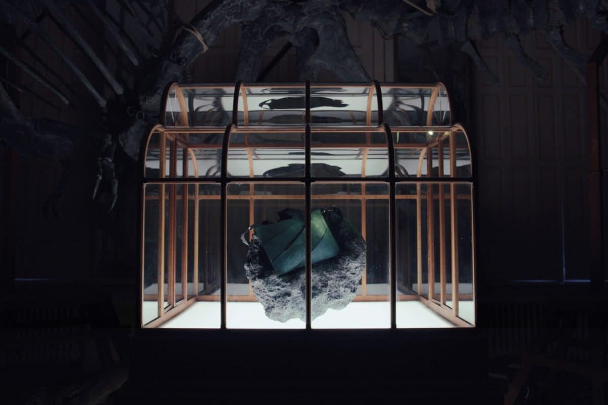 World’s First T-Rex Leather Luxury Handbag To Be Auctioned For Rs 5 Crore