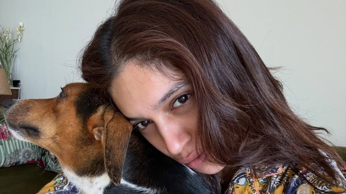 Spotting Trouble: 6 Everyday Signs Your Dog’s Food Isn’t Cutting It