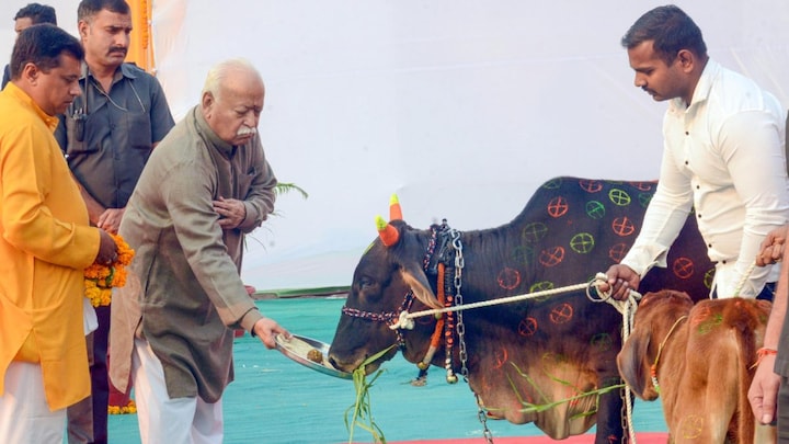 Mohan Bhagwat Calls for Nationwide Cow Devotion, Suggests Ram Temple‑Style Mobilization to End Slaughter