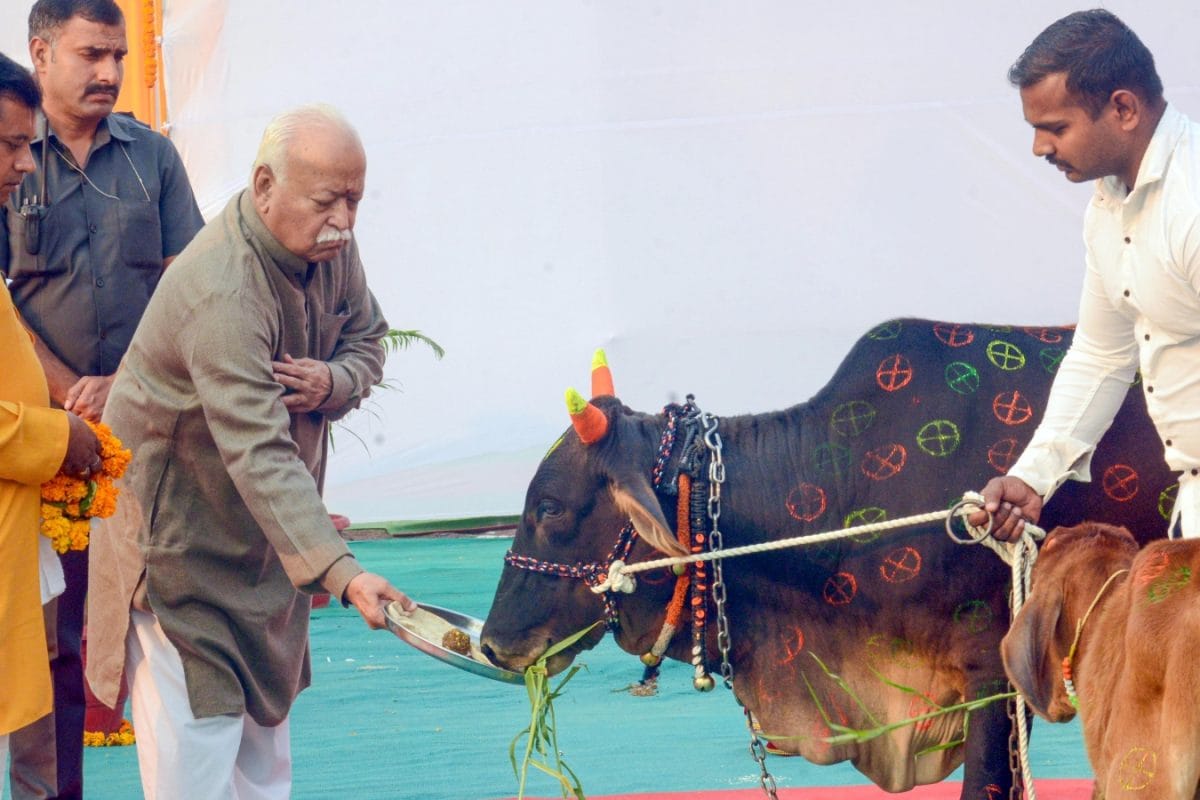 ‘Make Society Gau Bhakt’: RSS Chief Says Ram Temple-Style Awareness Needed To End Cow Slaughter