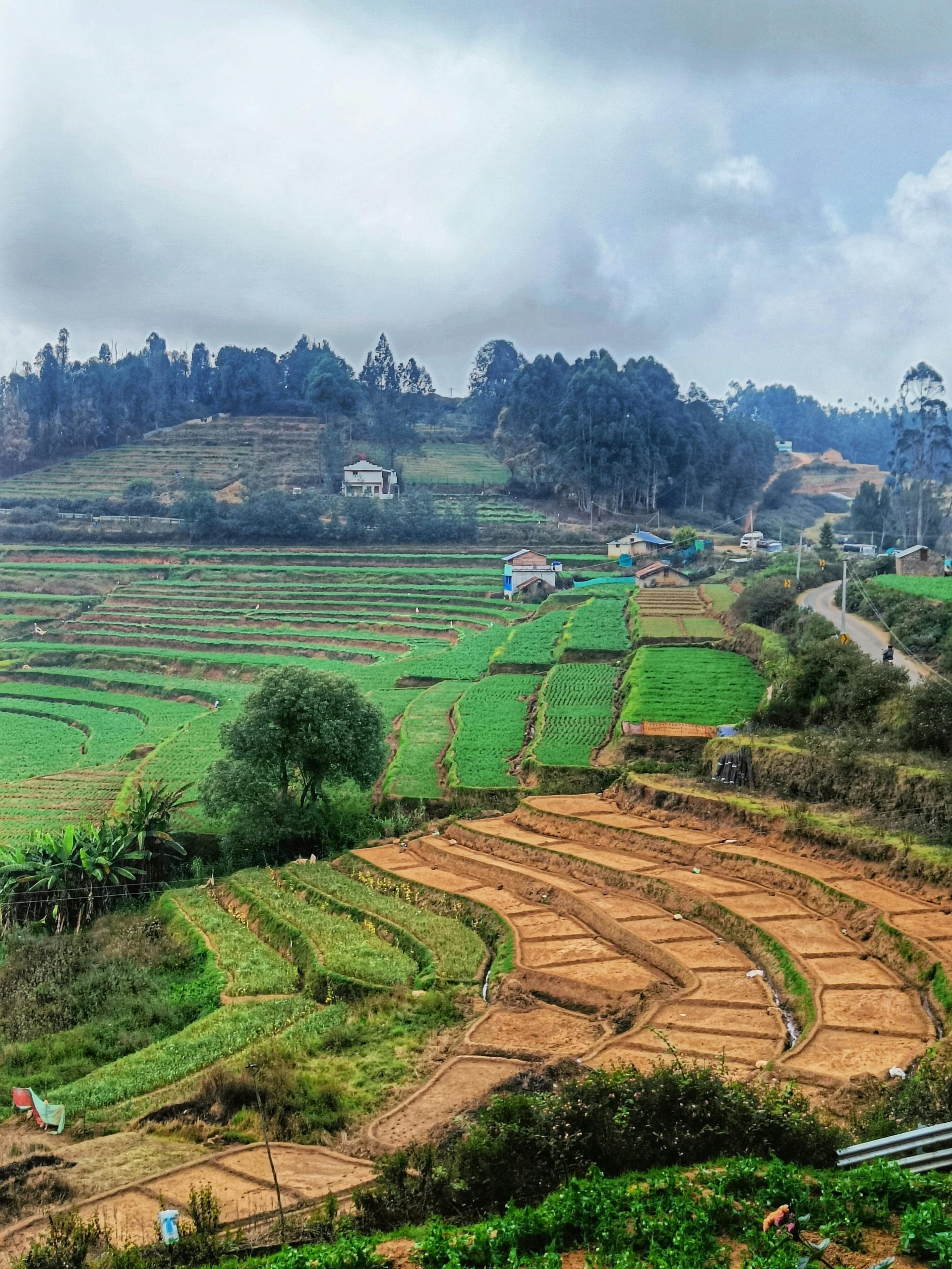  Erode, located in Tamil Nadu, is famously known as India’s “Turmeric City” due to its large-scale turmeric cultivation and trade. Situated near the banks of the River Kaveri and its tributaries—the Bhavani and Noyyal—Erode benefits from rich, fertile soil. This abundant river system makes the district one of the most productive and agriculturally prosperous regions in Tamil Nadu.