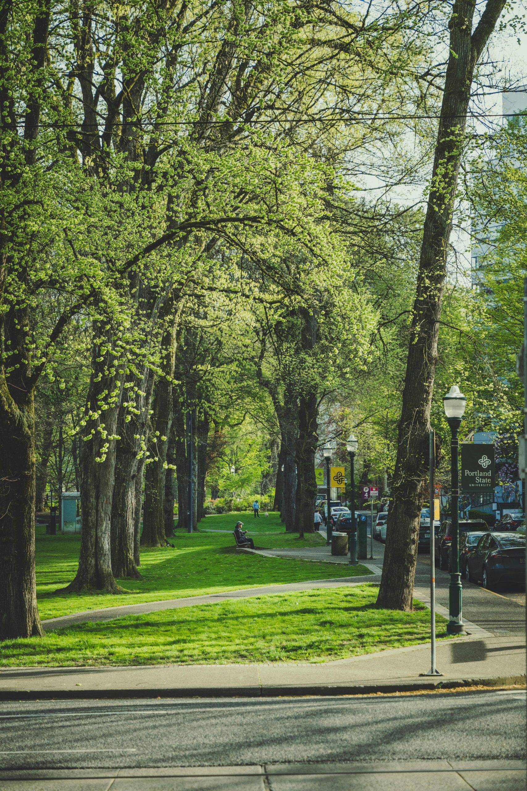 10 Green Cities Leading The Way In Urban Sustainability