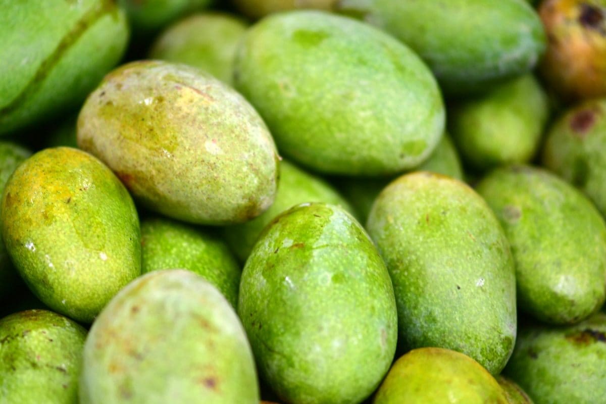 Enjoy The Goodness Of Raw Mango With This Tangy Yet Comforting Rasam Recipe