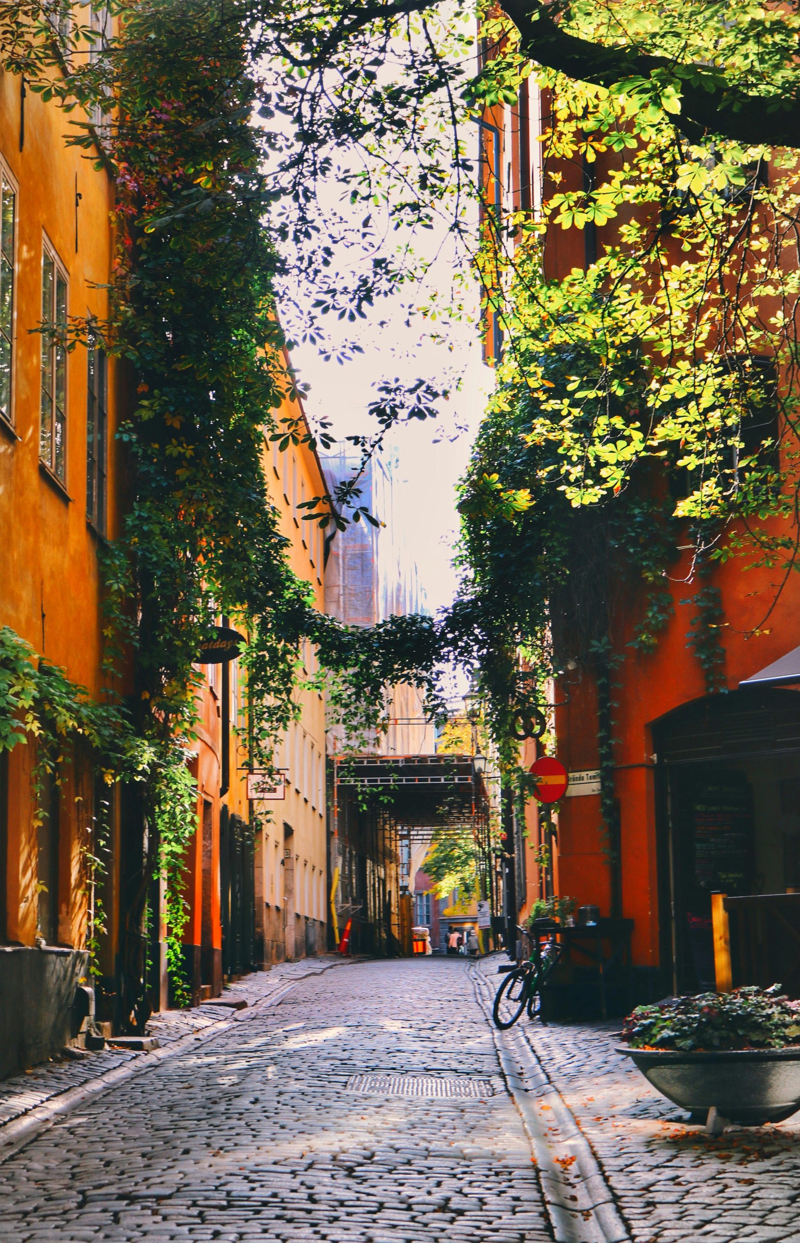 10 Green Cities Leading The Way In Urban Sustainability