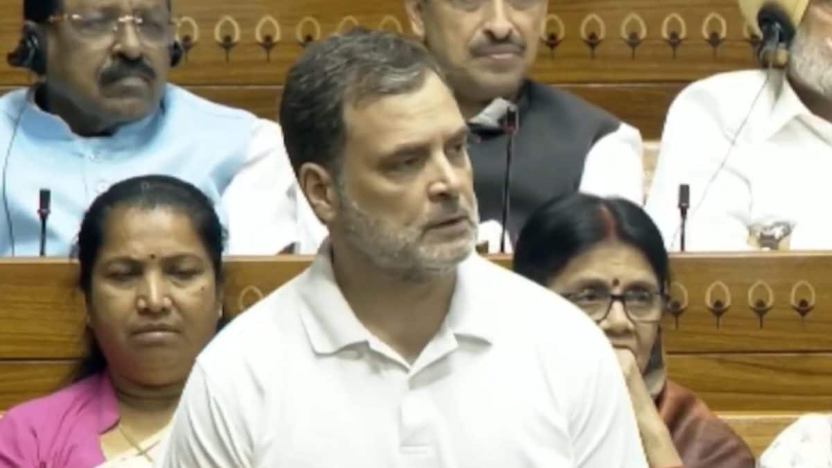 'PM Modi And I Don't Have Wife Issue': Rahul Gandhi Quips In Lok Sabha Amid Women's Quota Debate