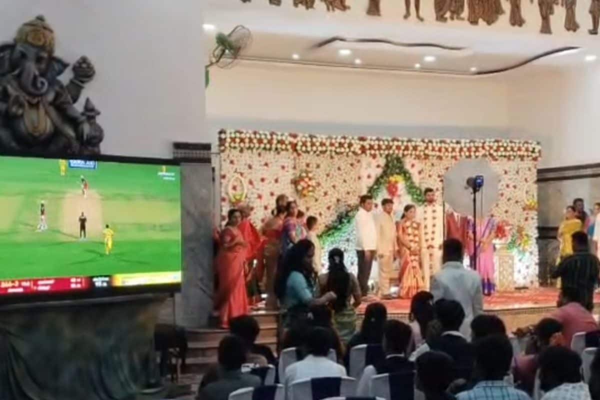 From Vows To Victory: RCB Craze Turns Wedding Hall Into Cricket Arena | Video