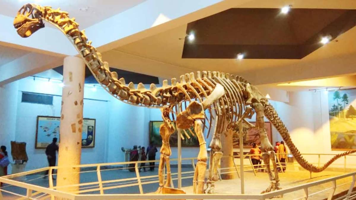 Explore the Cosmos and Prehistoric Giants: India's Kid‑Friendly Science Hubs