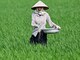 According to the World Food Programme, an additional 45 million people could be pushed into acute food insecurity if the conflict does not end by June. (AFP Photo)