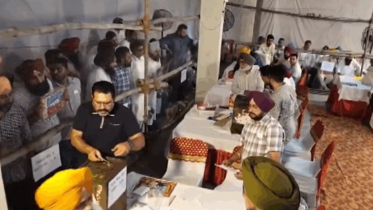 Punjab Civic Body Polls 2026 Results Highlights: AAP Sweeps Punjab ...