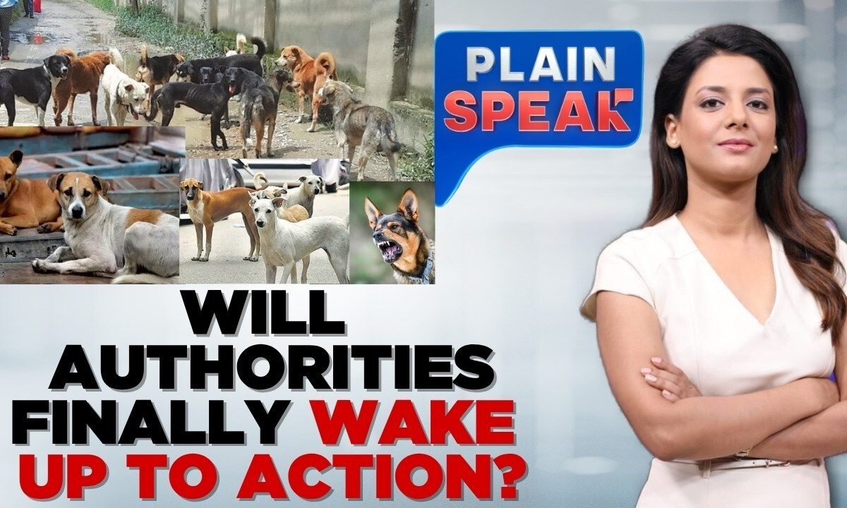 Supreme Court Upholds Stray Dog Removal Order Amidst Outrage and Accountability Demands