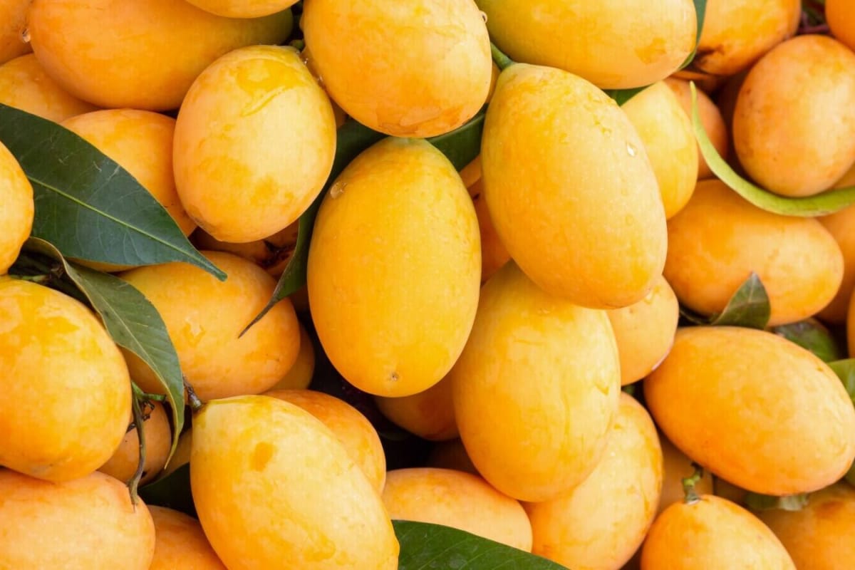 5 Simple Ways To Ripen Mangoes At Home Without Using Carbide