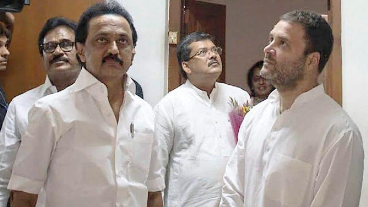 'Thanks But No Thanks': DMK Leader Rejects Rahul Gandhi's Call For Joint Fight