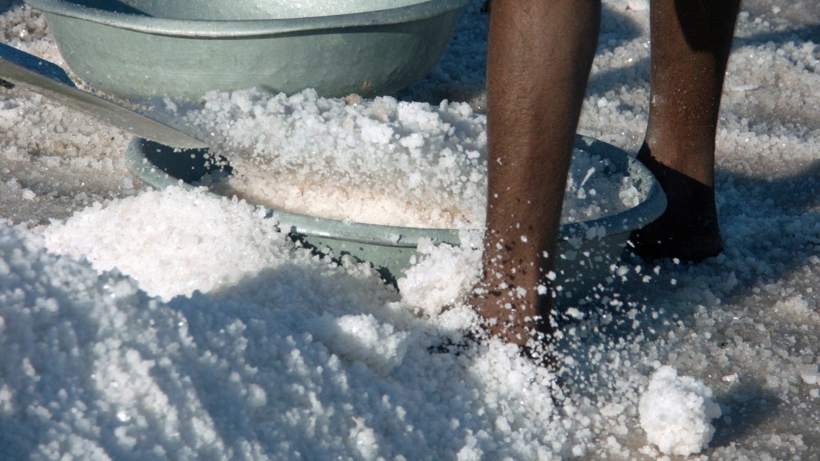GK: Which State Is Known As The Salt Capital Of India?