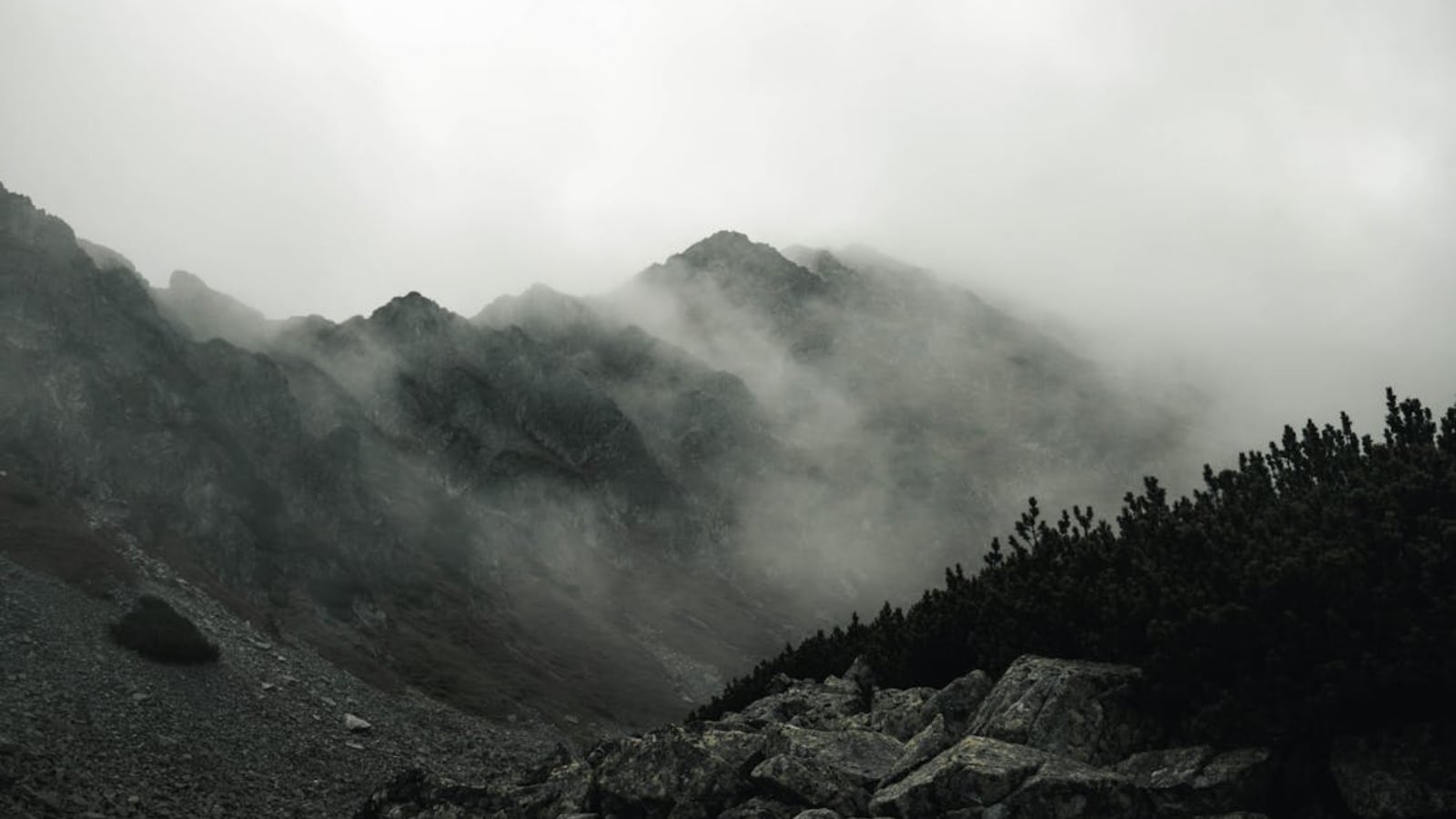 6 Soul-Soothing Visual Escapes That Quiet Your Mind Instantly—From ...