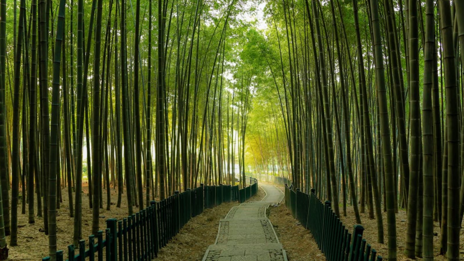 6 Soul-Soothing Visual Escapes That Quiet Your Mind Instantly—From ...