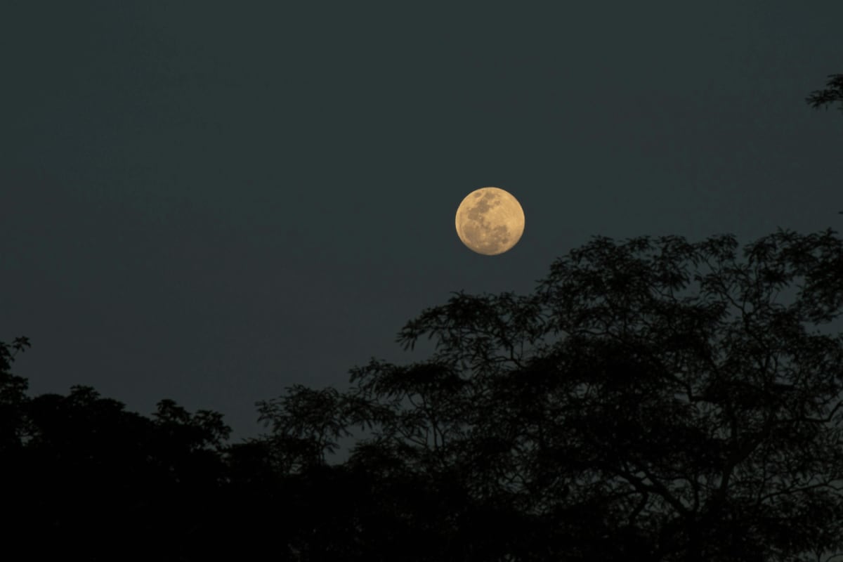 When Is Adik Maas Purnima In May 2026? Know Correct Date, Auspicious Muhurat, Vrat Katha And More
