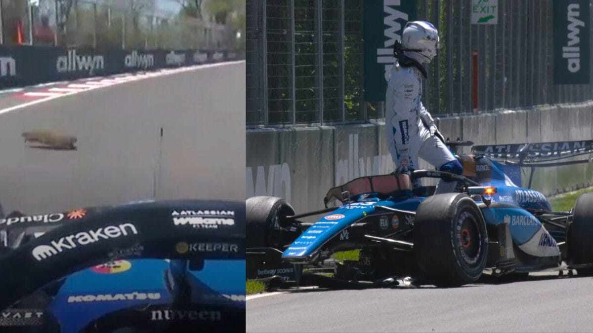Groundhog Day For Alex Albon: Marmot Crash Wrecks Williams In Canadian GP | WATCH