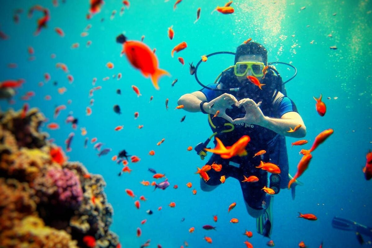 These Stunning Dive Sites Make The Andamans A Scuba Diver’s Dream