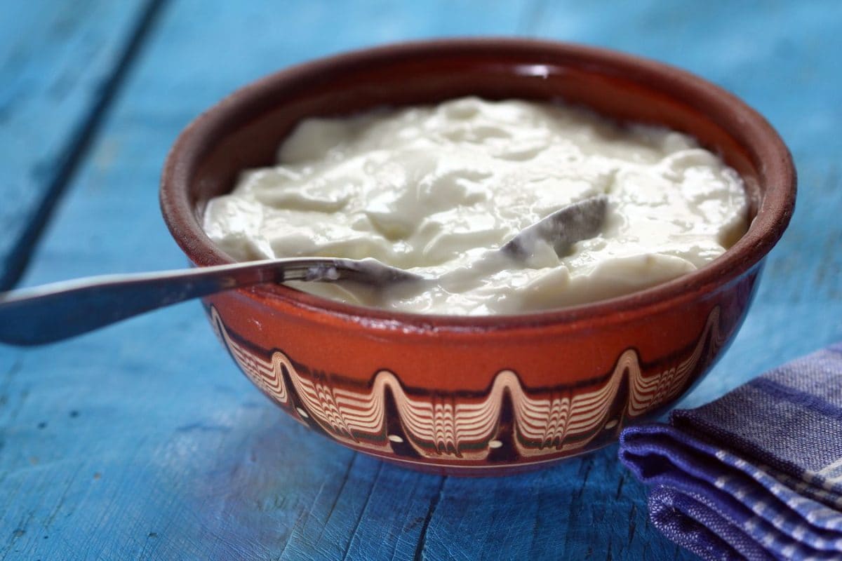 Want Market-Style Thick Curd At Home? Choose The Right Milk And Follow These Easy Tips