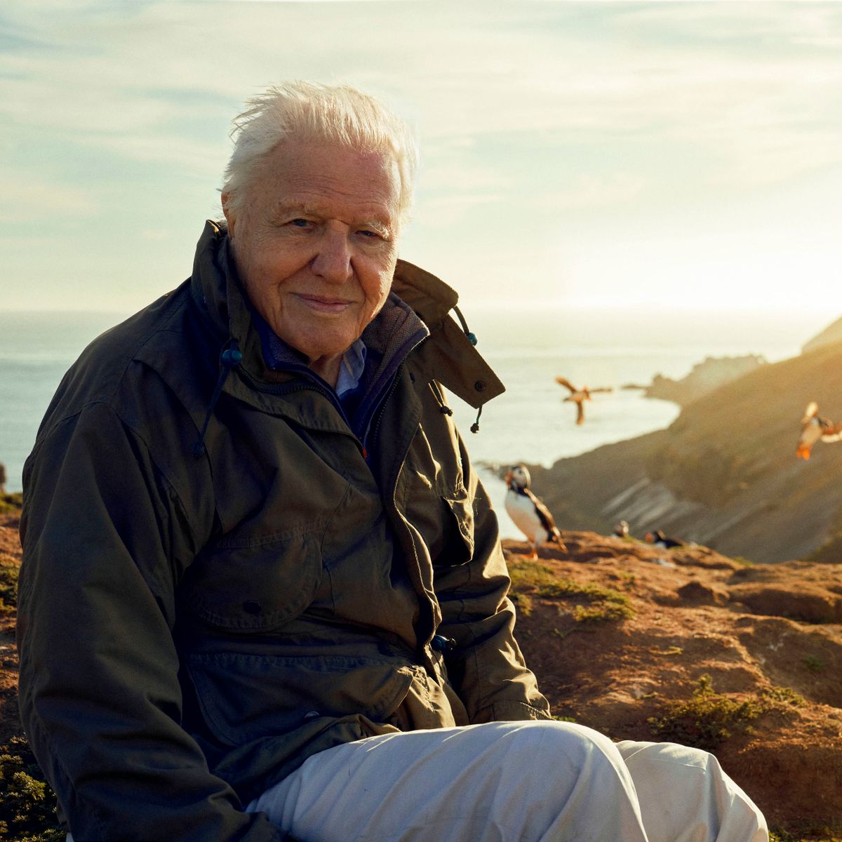 Did You Know These Facts About David Attenborough? The Nature Legend Turns 100 Today