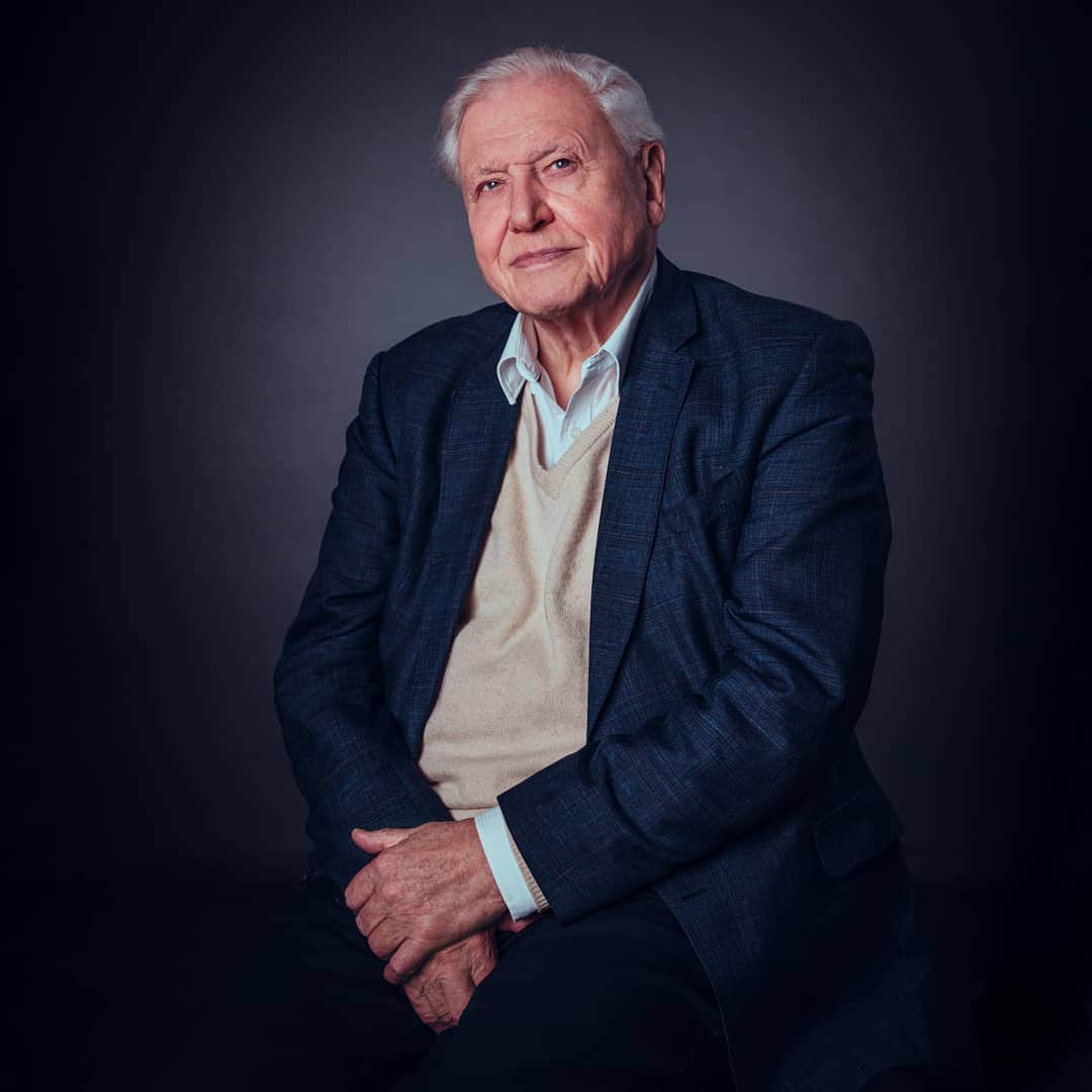 Did You Know These Facts About David Attenborough? The Nature Legend Turns 100 Today