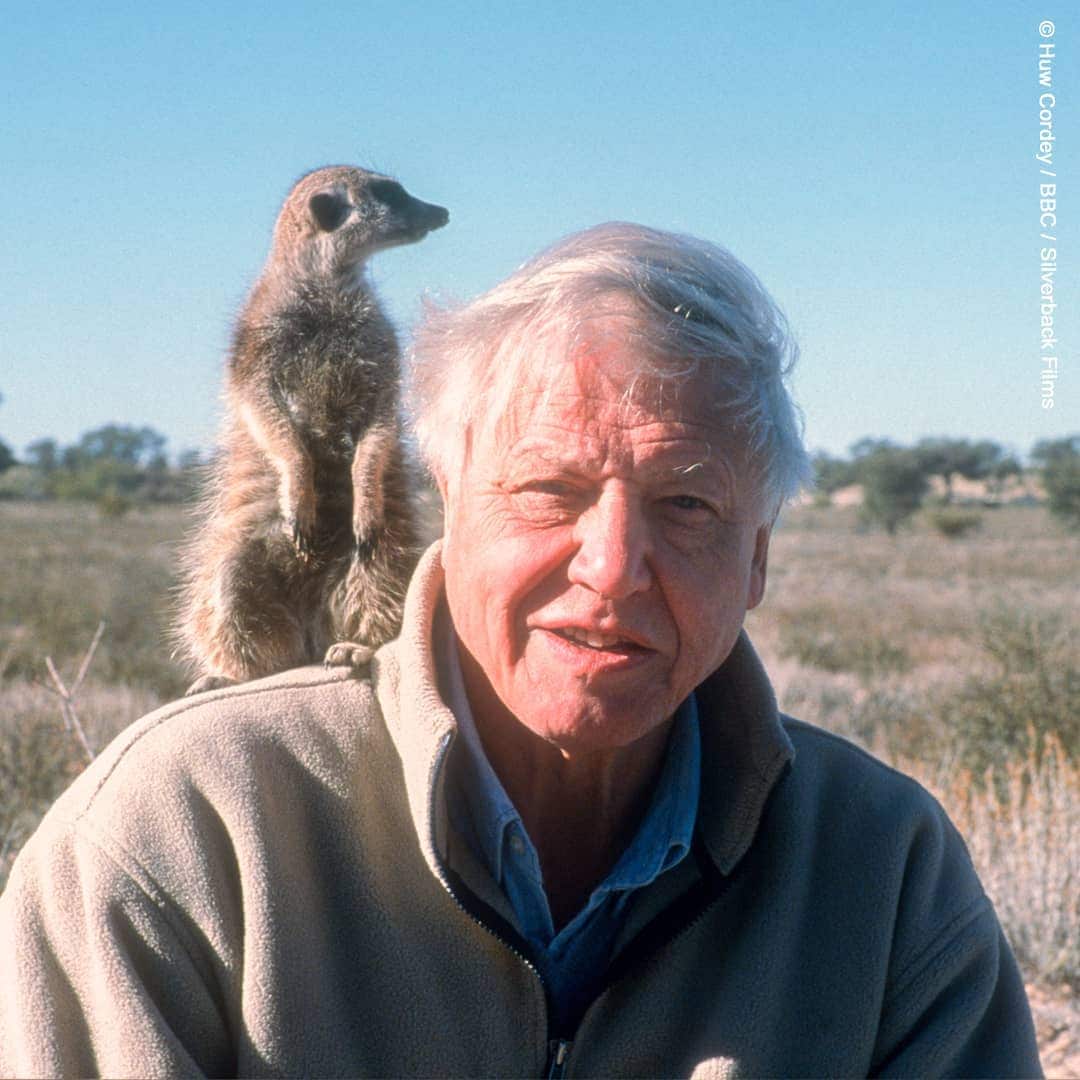 Did You Know These Facts About David Attenborough? The Nature Legend Turns 100 Today