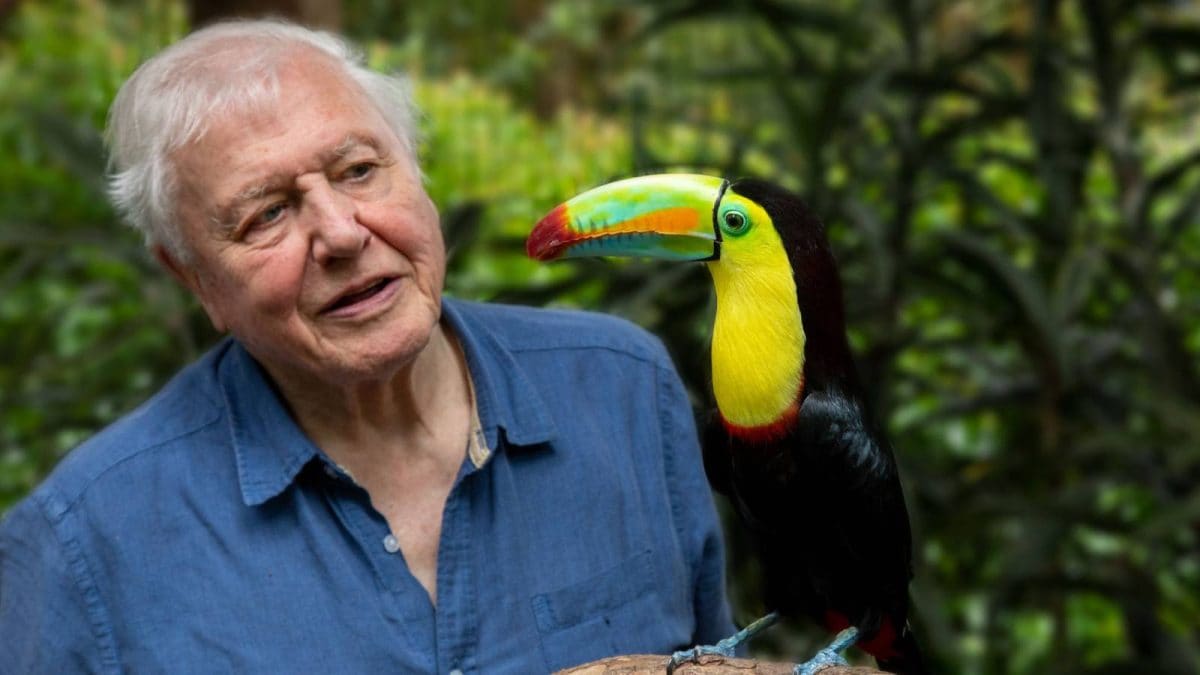 Did You Know These Facts About David Attenborough? The Nature Legend Turns 100 Today