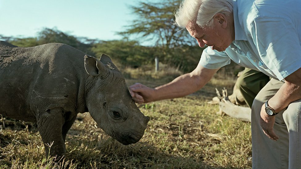 Did You Know These Facts About David Attenborough? The Nature Legend Turns 100 Today