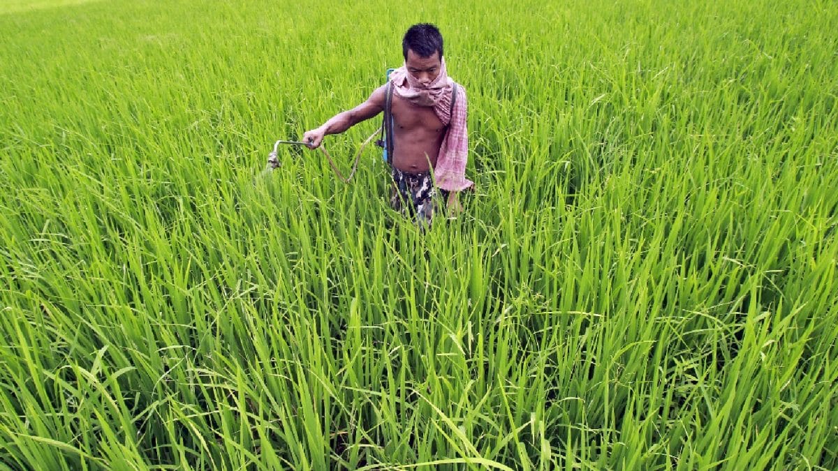 Why End Of Hormuz Blockade Is Good News For Indian Farmers