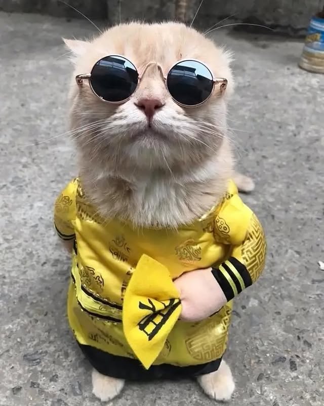 According to its owner, as reported by saigoneer.com, the dog got its name because of its dog-like behavior, where it would wheeze and stick out its tongue while walking around the neighborhood. 