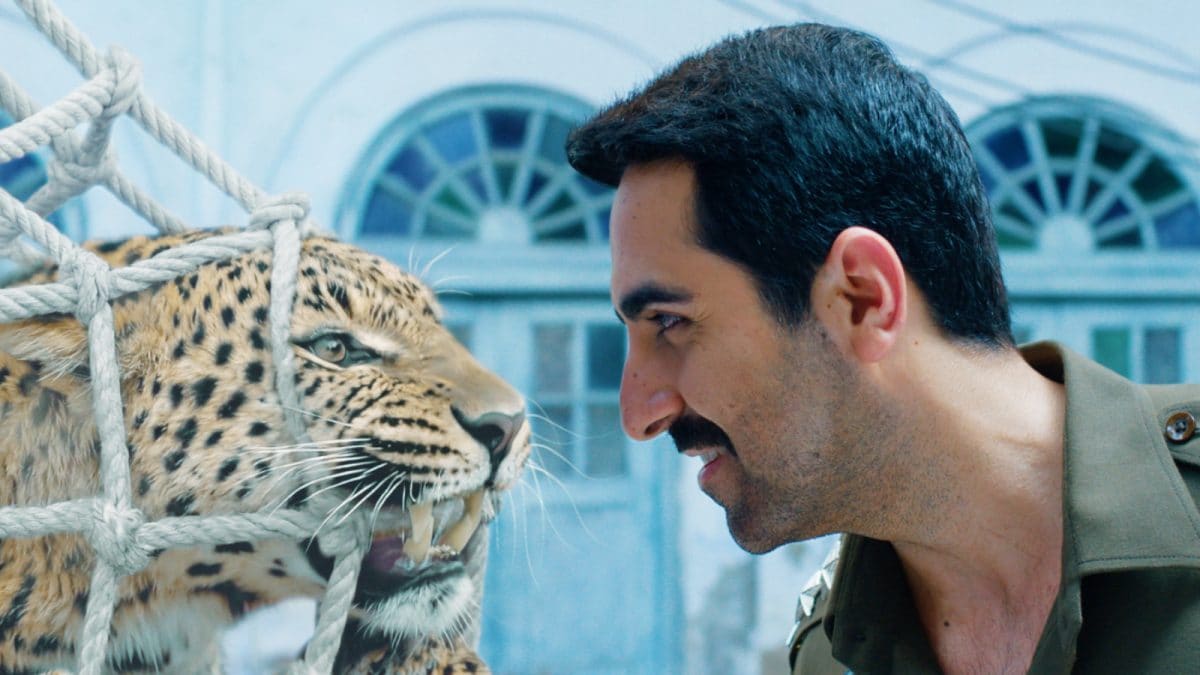 Pati Patni Aur Woh Do Review: Ayushmann Khurrana Powers This Gloriously Loud, Ludicrous Comedy Of Errors | Bollywood News