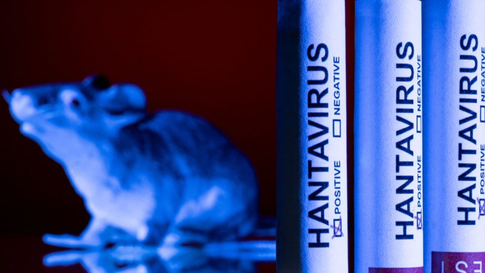 Hantavirus is primarily a zoonotic disease transmitted from rodents to humans.