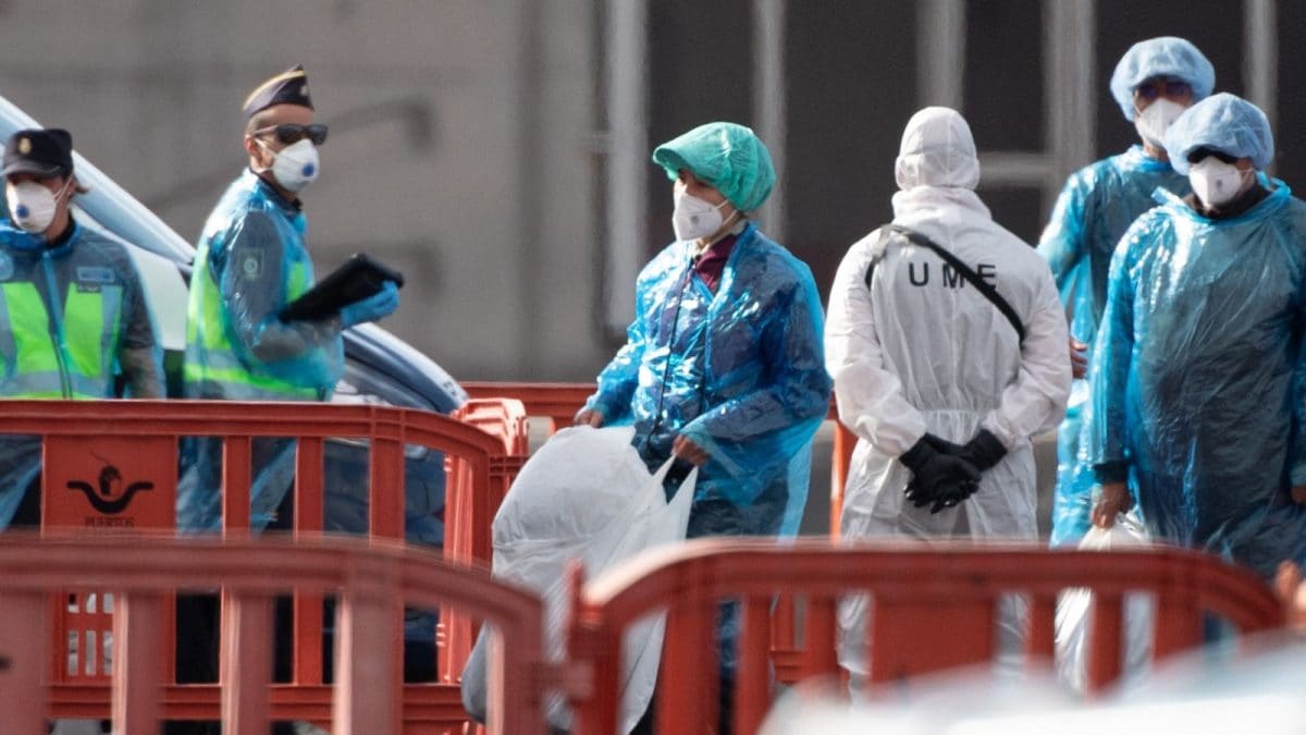 Why Hantavirus From Rodents Killed 3 Cruise Passengers & Why It Matters To India