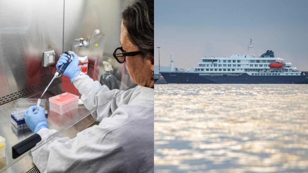 WHO Confirms 6 New Hantavirus Cases As Cruise Ship Arrives In Spain's Canary Islands: Common Symptoms To Know