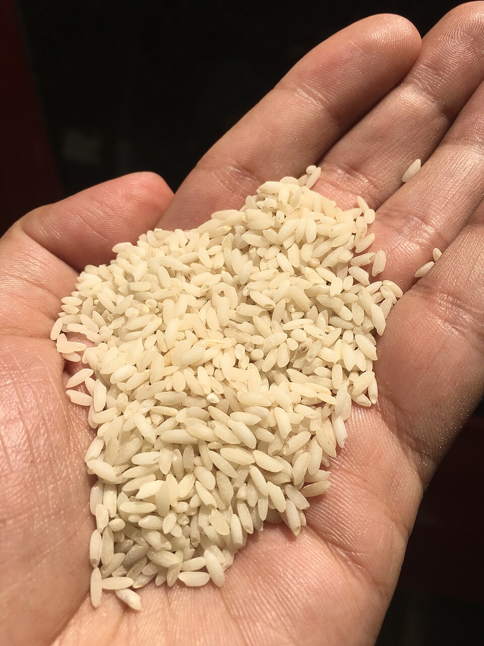 PM Modi Highlights India’s Rich Rice Heritage, Gifts Five Traditional ...