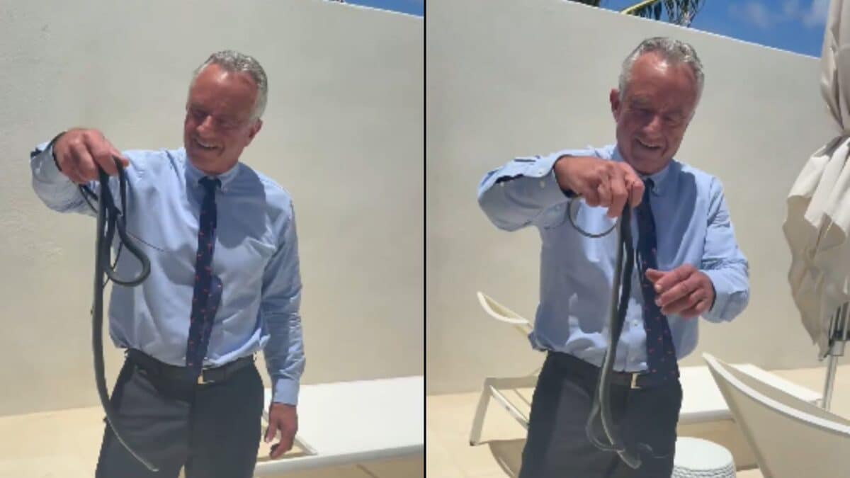 Robert F Kennedy Jr. Grabs Two Snakes Bare-Handed, Appears To Get Bitten In Viral Clip