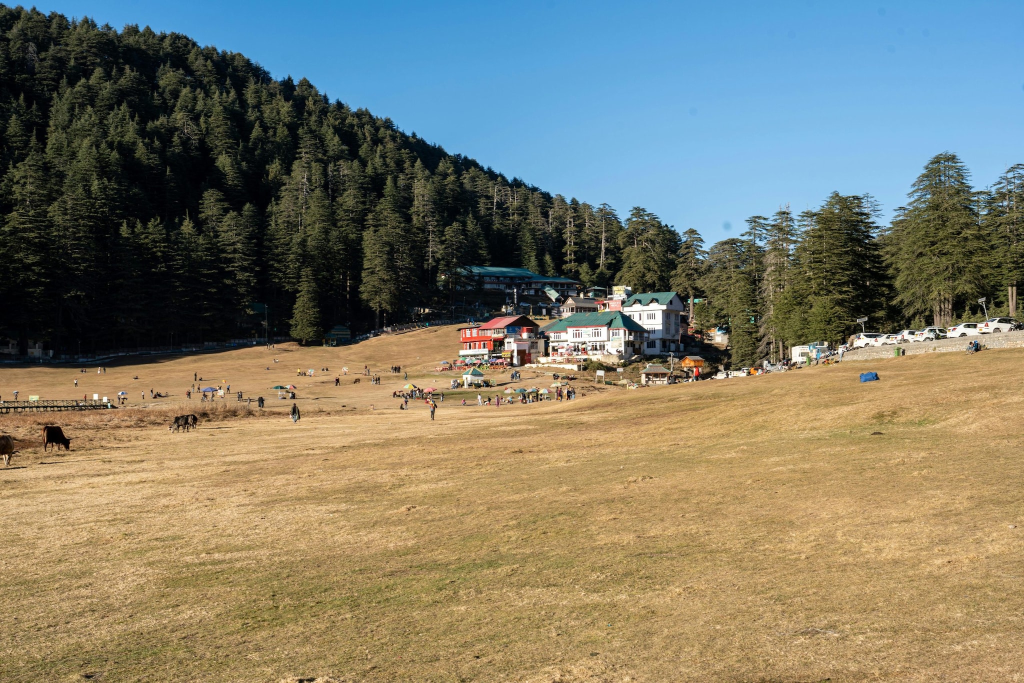 The Indian 'Little Switzerland': Khajjiar, Himachal PradeshNestled in the Chamba district, Khajjiar doesn't just look like Switzerland; it is officially recognized as such. In 1992, the Swiss Vice Counselor dubbed it "Mini Switzerland," and for good reason. A saucer-shaped meadow surrounded by a thick cedar forest, with a lake reflecting the Himalayan peaks, it captures the exact stillness of a Berne postcard. 