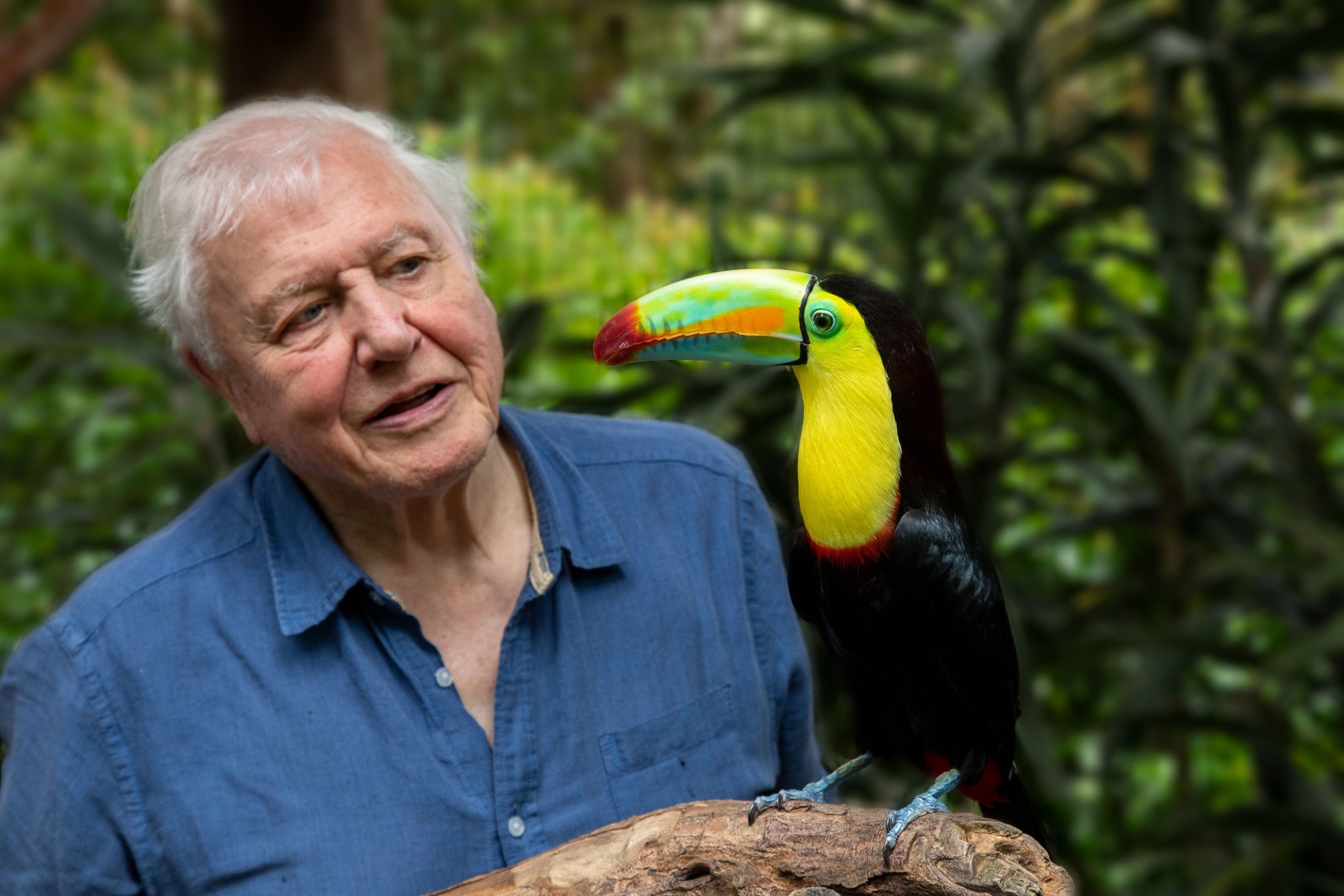 Did You Know These Facts About David Attenborough? The Nature Legend Turns 100 Today