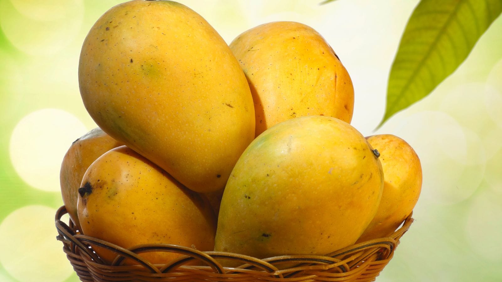 Mangoes: Mangoes contain high amounts of natural fructose that require active digestion. Consuming mangoes on an empty stomach overloads your system with concentrated sugar, leading to rapid blood glucose spikes, severe digestive lethargy, uncomfortable gas, and persistent stomach cramps shortly afterwards.