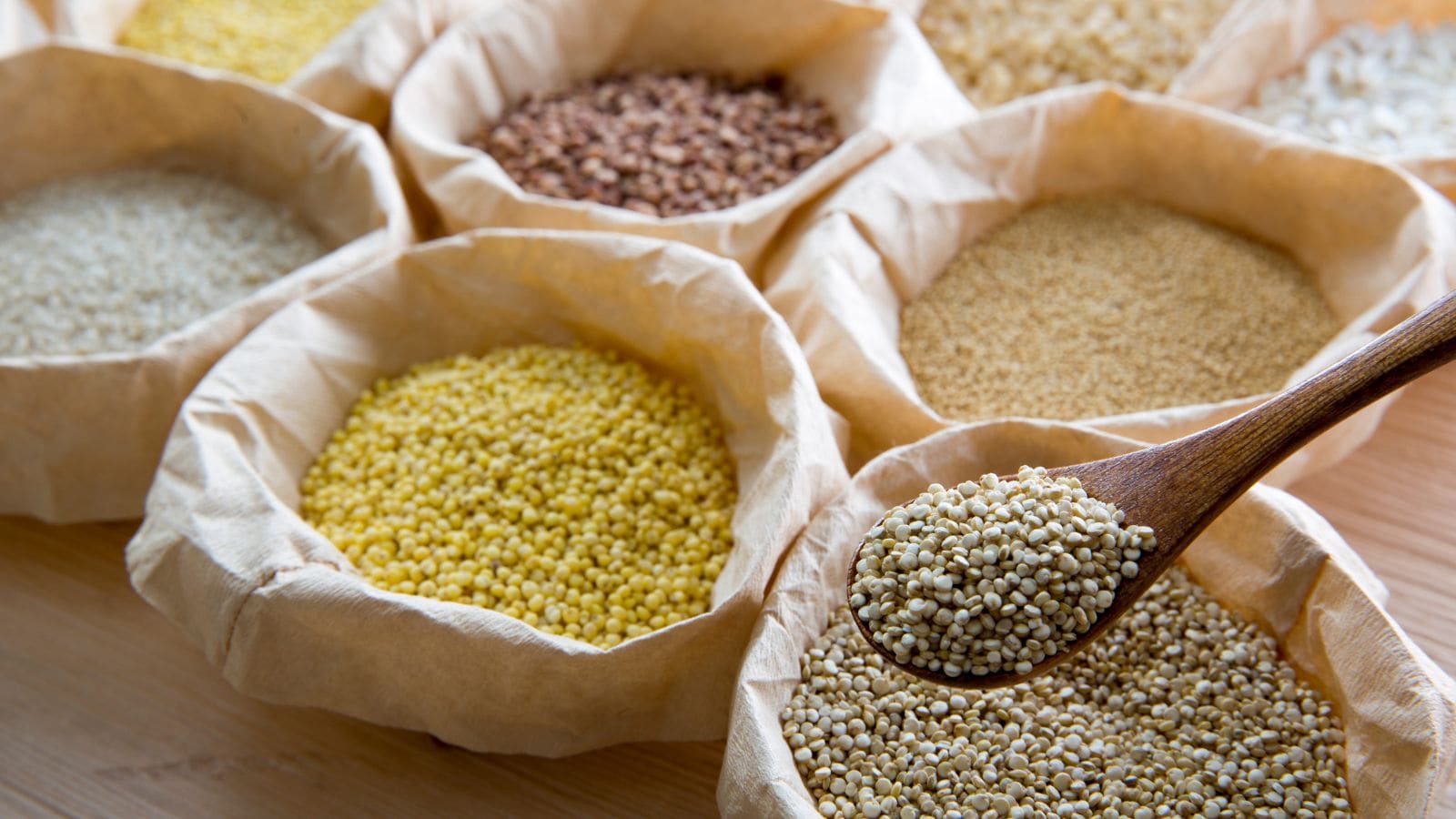 Millets: The year 2023 was declared the International Year of Millets, a move supported by PM Modi at the G20 and global health forums. These ancient cereal crops, cultivated for more than 4000 years, are grown across India in varities like ragi, jowar and bajra. (File Photo)