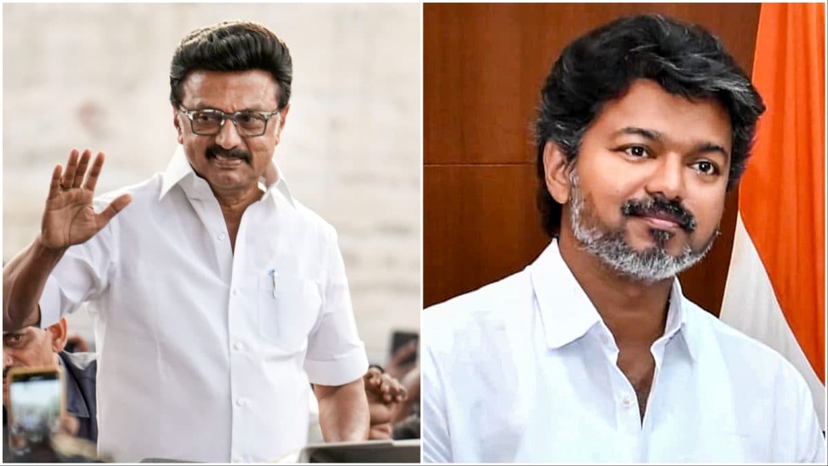 'Vijay Got Majority Because Our Allies Helped': DMK Credits Stalin For Tamil Nadu New Govt