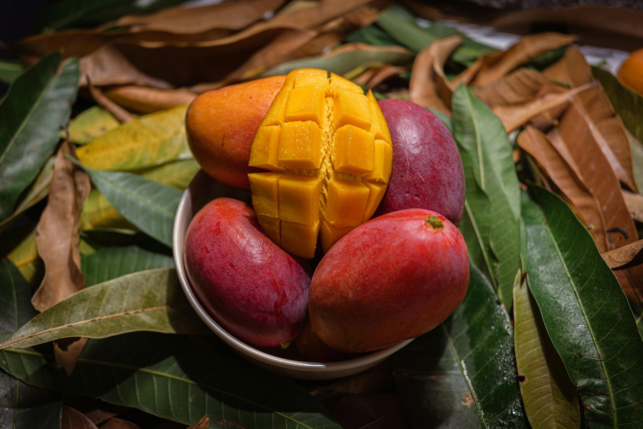 Regular Feeding For Healthy Growth: The farmer feeds the plant a special mixture every 30 days. This feeding schedule ensures that the tree recives all the necessary nutrients for optimal growth and fruit production. (Representative Image: Pexels)