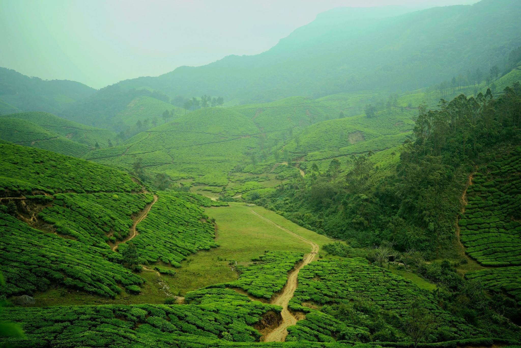 The 'Mini England': Munnar, KeralaThe manicured tea gardens of Munnar, with their neat, undulating rows, often evoke the countryside of Devon or the Lake District. The presence of colonial-era bungalows and the "High Range Club" preserves a time-capsule feeling of an English summer retreat, complete with afternoon tea and misty moorlands. 